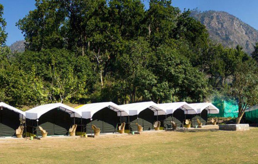 Bungee Jumping , River Rafting & Camping at Rishikesh