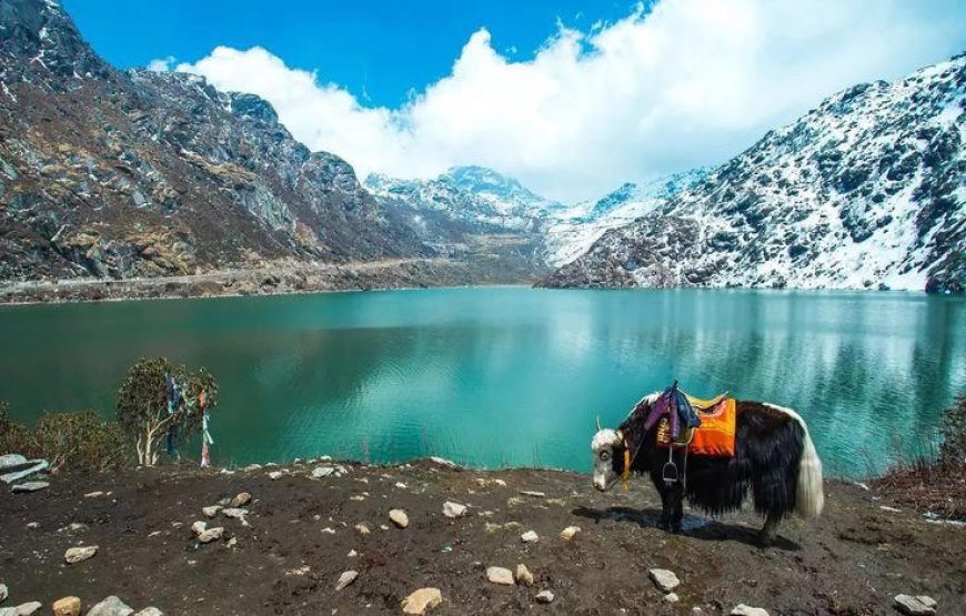 Sikkim With Darjeeling Tour Package From Mumbai