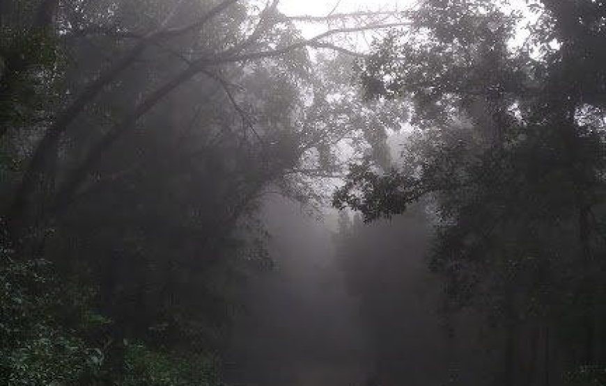 Gavraiban Monsoon Trek