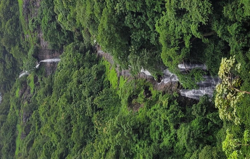 Hidden Waterfall Trek