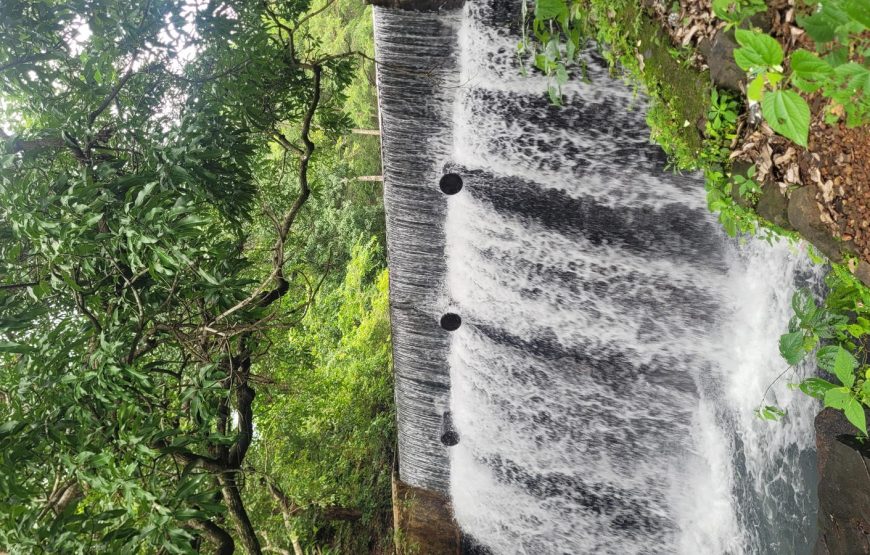Hidden Waterfall Trek