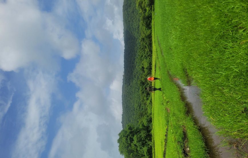 Hidden Waterfall Trek