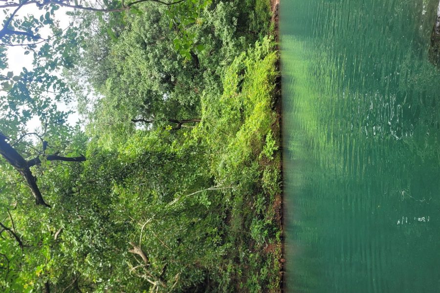 Hidden Waterfall Trek