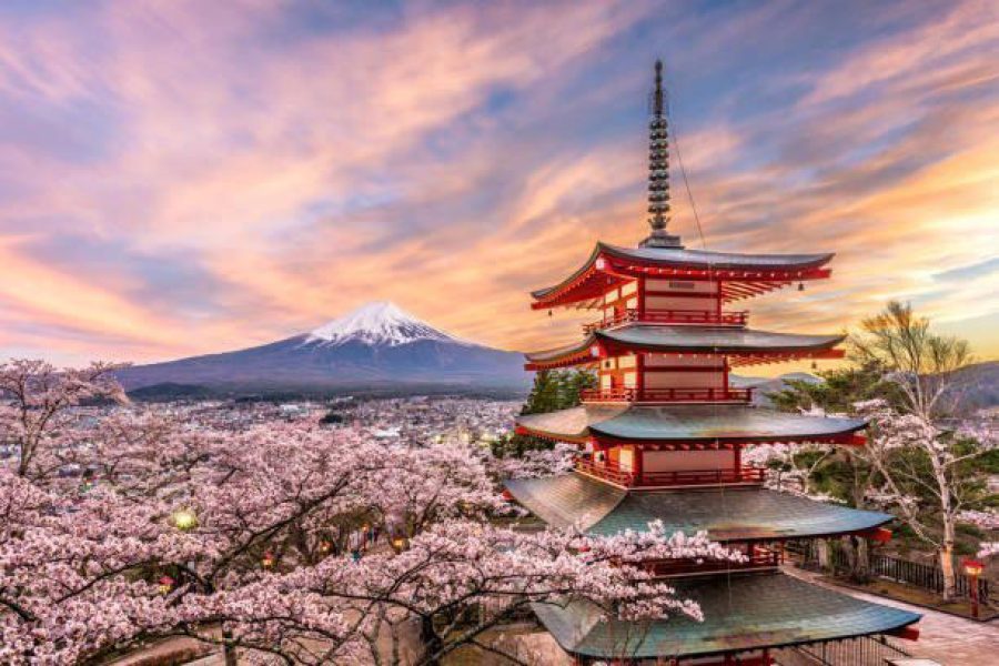 Cherry Blossom Special Japan Backpacking Tour