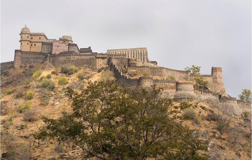 Jawai and Kumbhalgarh Luxury Tour