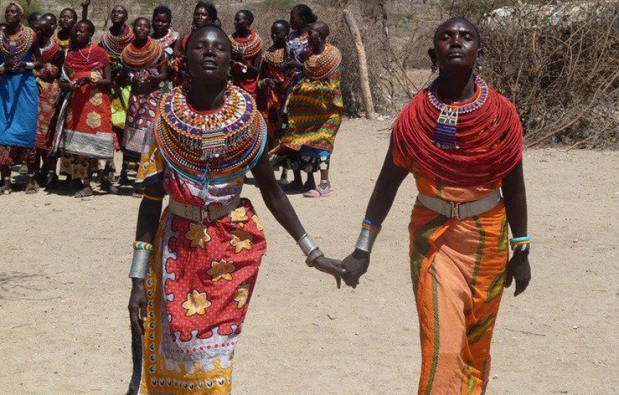 Kenya Safari Migration Special