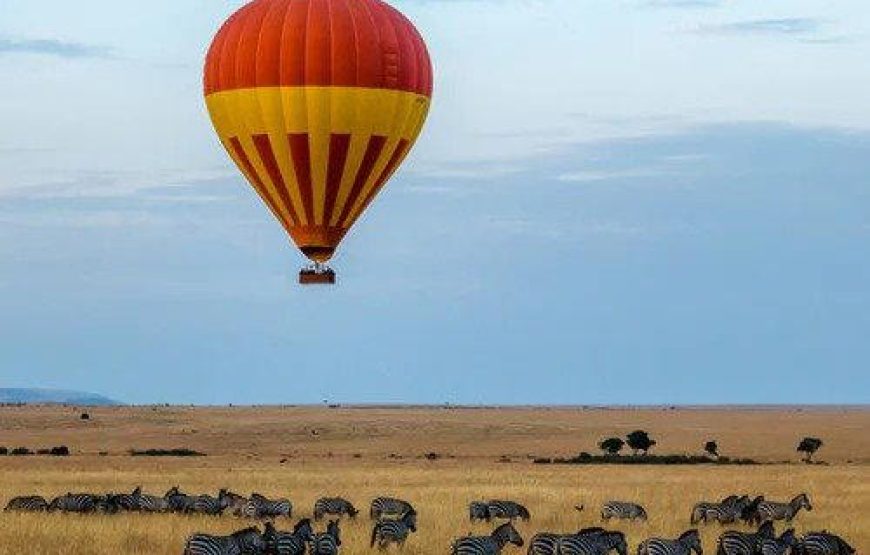 Kenya Safari Migration Special