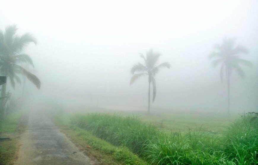Wayanad Green Paradise Tour