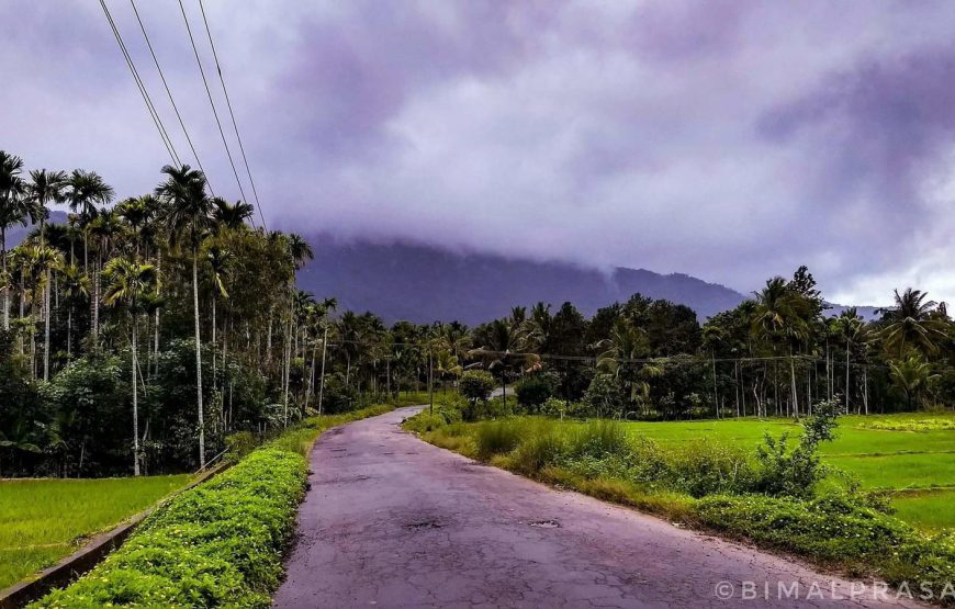 Wayanad Green Paradise Tour