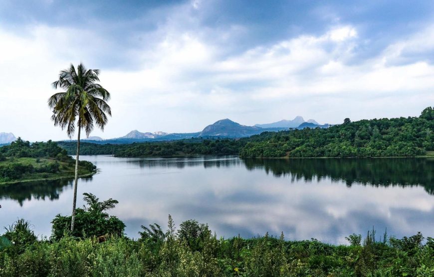 Wayanad Green Paradise Tour