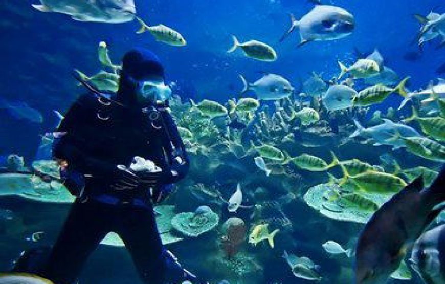 Lakshadweep Tour