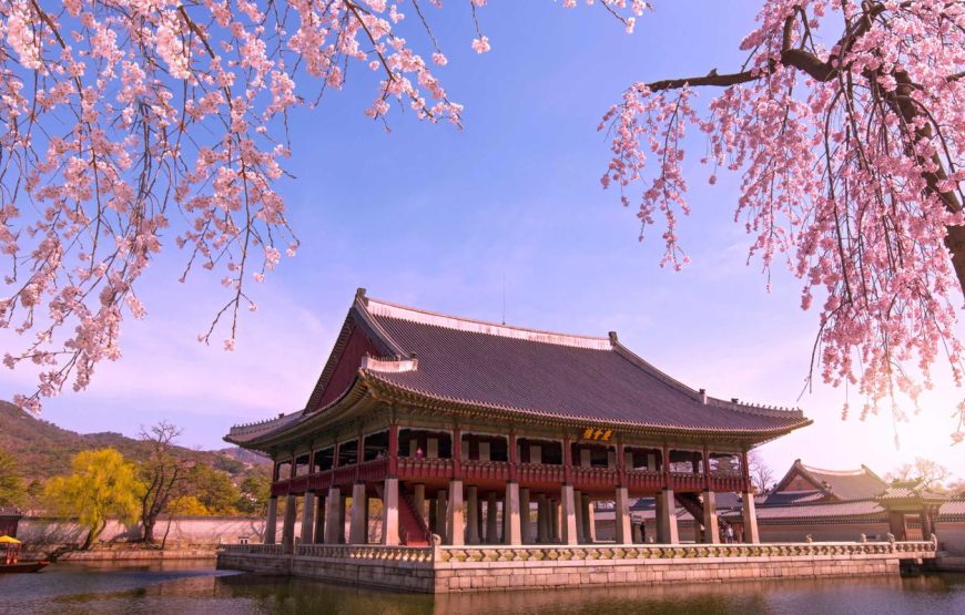 South Korea – Cherry Blossom Trip