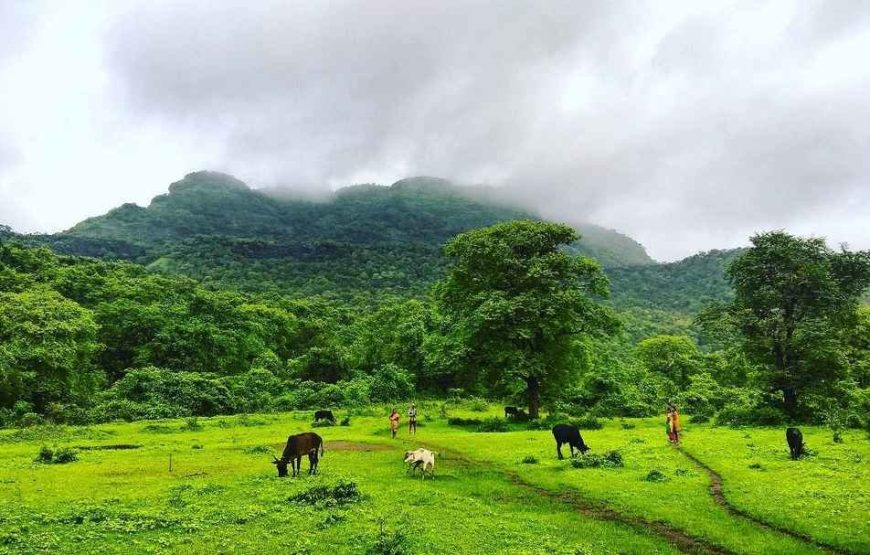 Tandulwadi Monsoon Trek