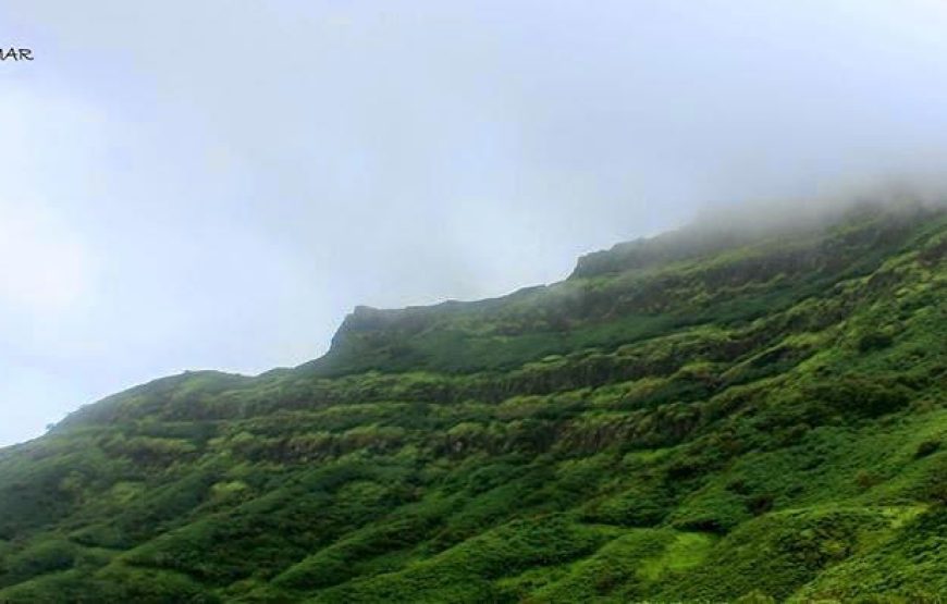 Torna Fort Monsoon Trek