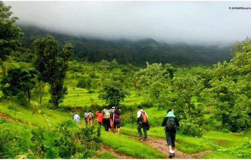 Torna Fort Monsoon Trek