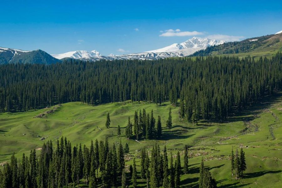Doodhpathri-Tosamaidan Trek
