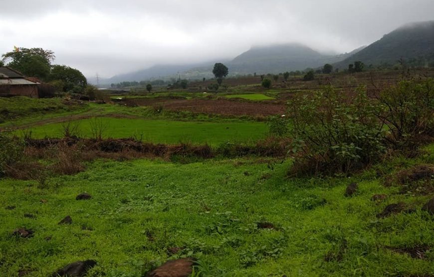 Tringalwadi Night Trek