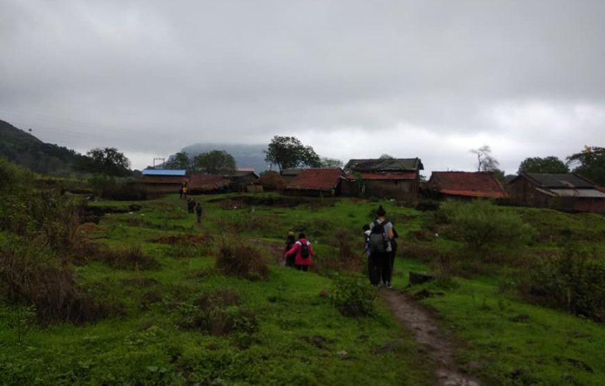 Tringalwadi Night Trek