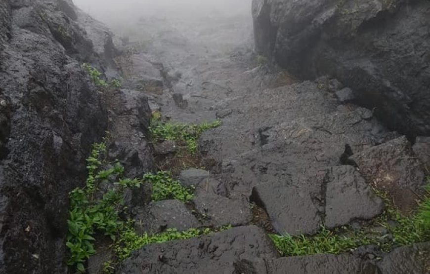 Tringalwadi Monsoon Trek
