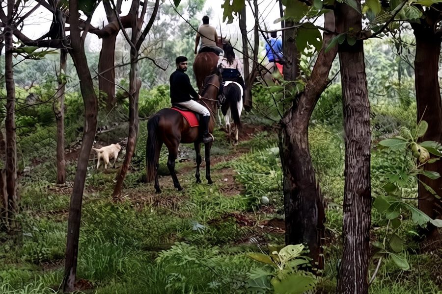 Horse Safari near Kanakapura NICE Road