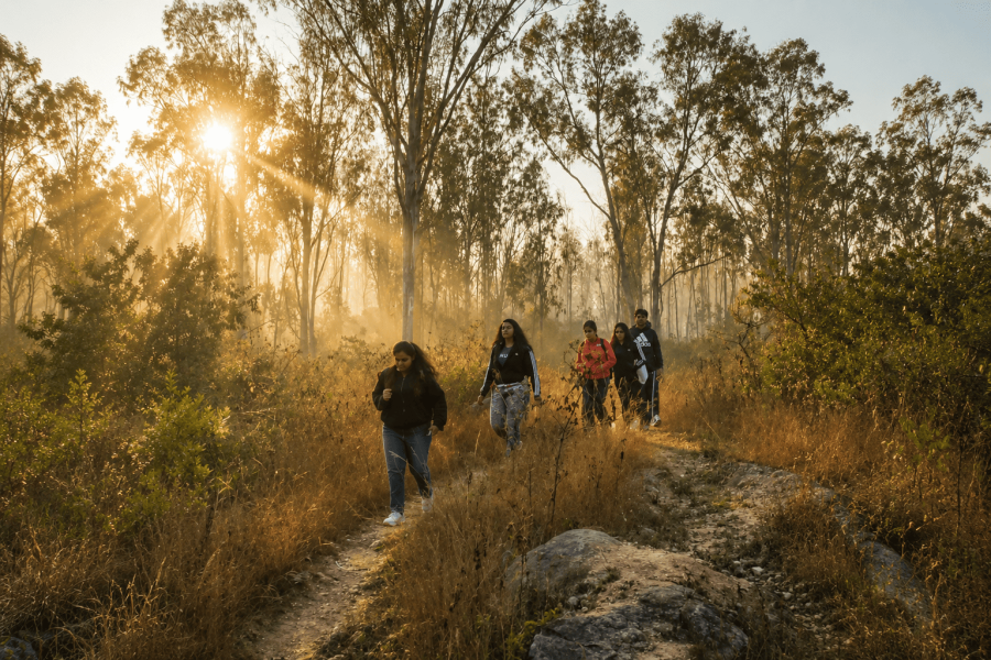 The Calm Circus — A Day in Nature